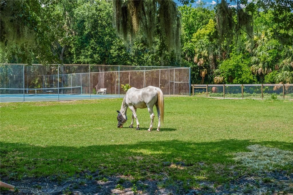 En Venta: $519,000 (3 camas, 2 baños, 2251 Pies cuadrados)