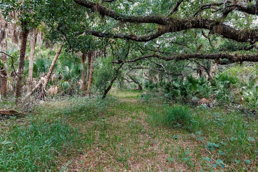 For Sale: $439,000 (20.62 acres)