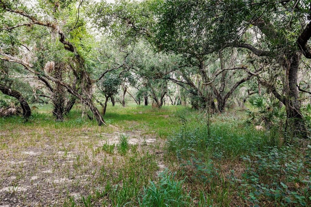 For Sale: $439,000 (20.62 acres)