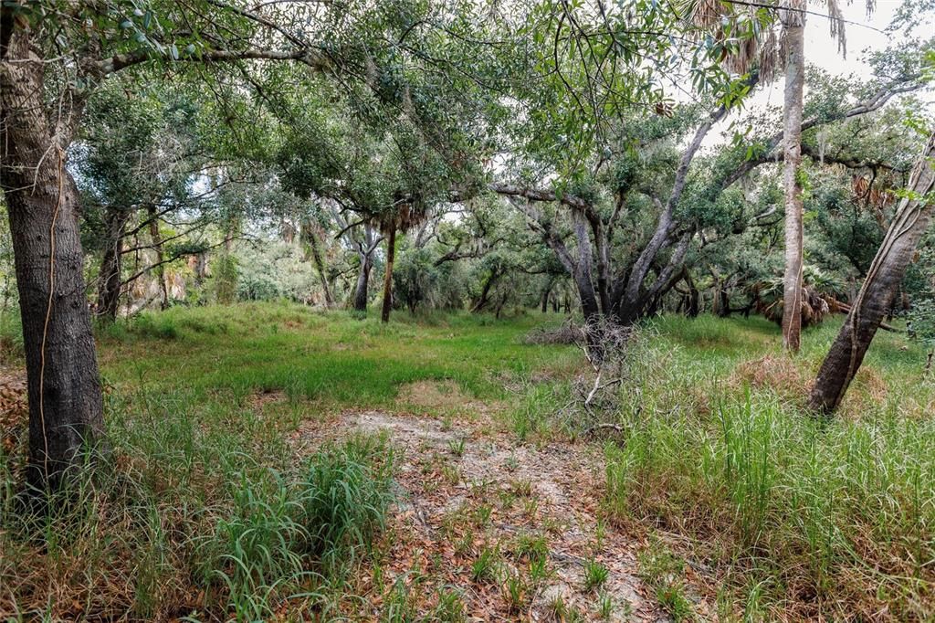 For Sale: $439,000 (20.62 acres)