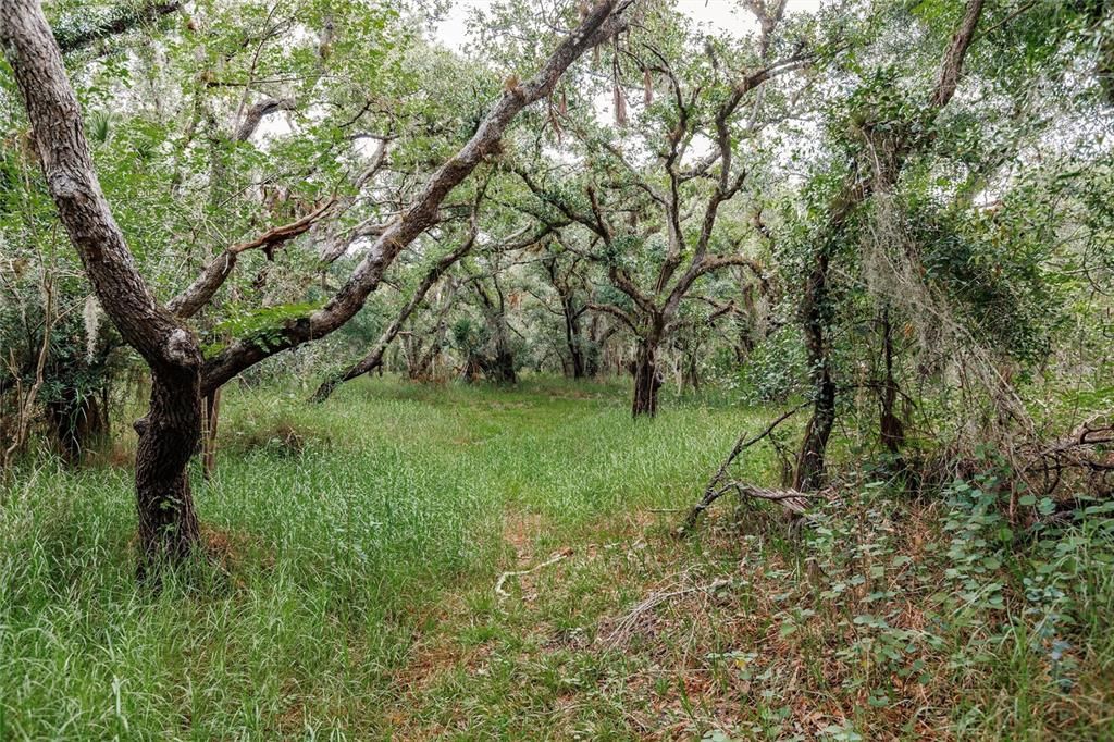 На продажу: $439,000 (20.62 acres)