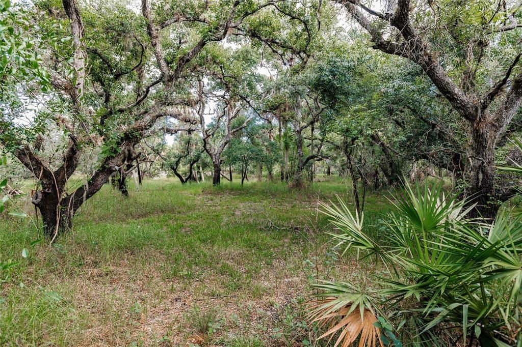 For Sale: $439,000 (20.62 acres)