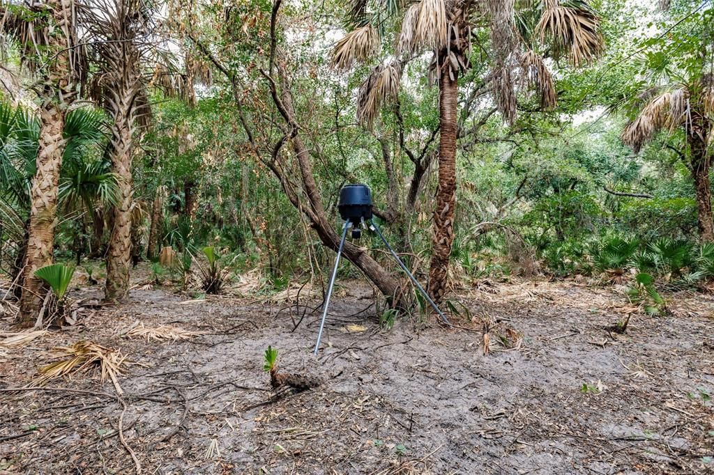 На продажу: $439,000 (20.62 acres)