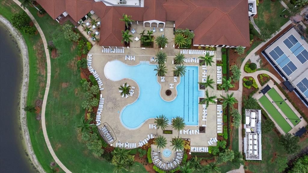 Aerial View of the Community Pool