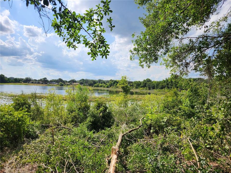 near the back of the lot looking at the lake