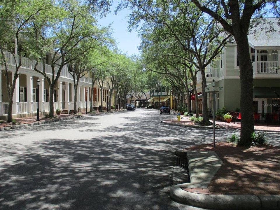 Charming tree lined street with brick sidewalks