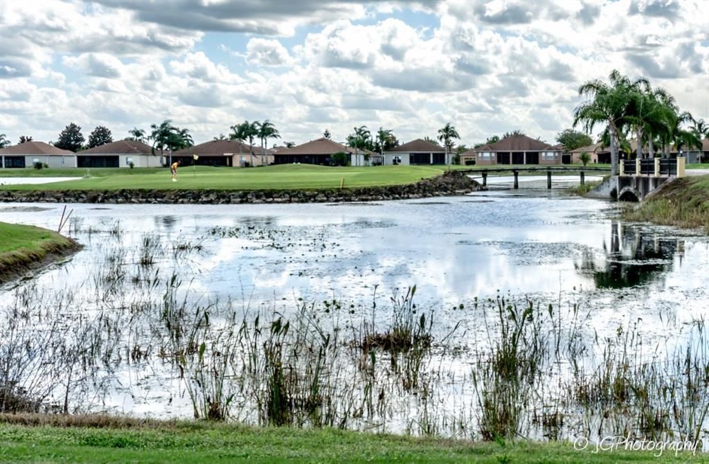 Golf members have unlimited access to 2 par 70 private golf courses. This is the signature par 4 11th hole with its island green.