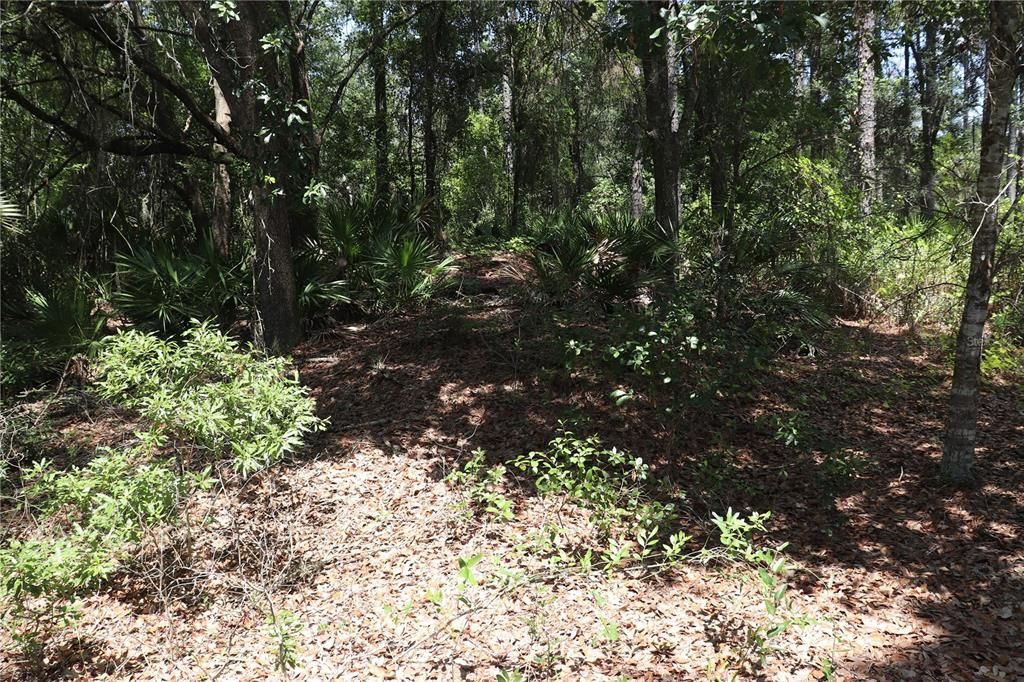 En Venta: $49,000 (2.50 acres)