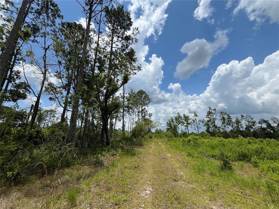 En Venta: $366,400 (160.00 acres)