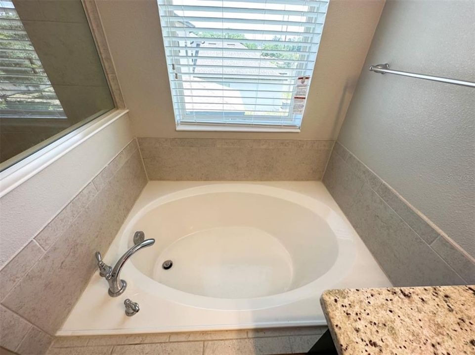 Masterroom tub