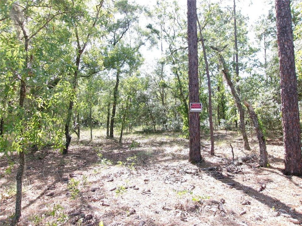 Recently Sold: $24,900 (0.99 acres)