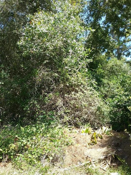 En Venta: $68,000 (0.45 acres)