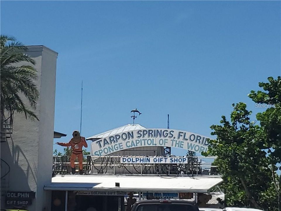 The World Famous Tarpon Springs Sponge Docks