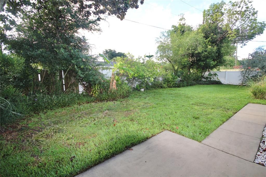 Back Yard/Open Patio