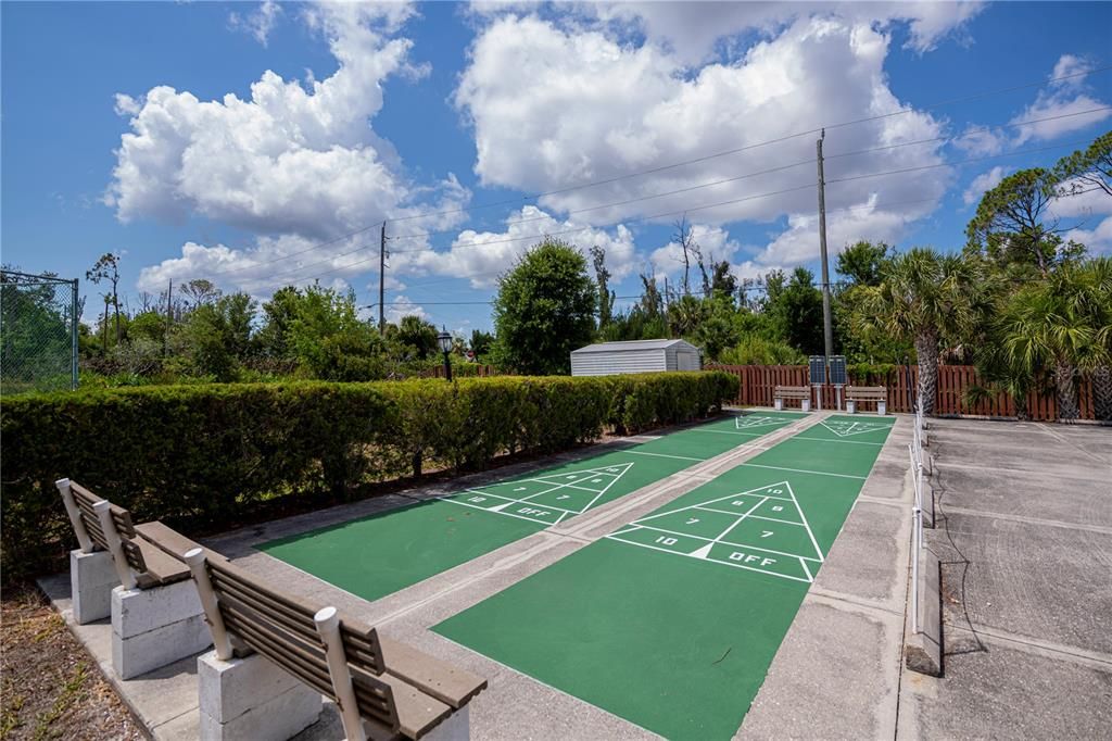 shuffleboard