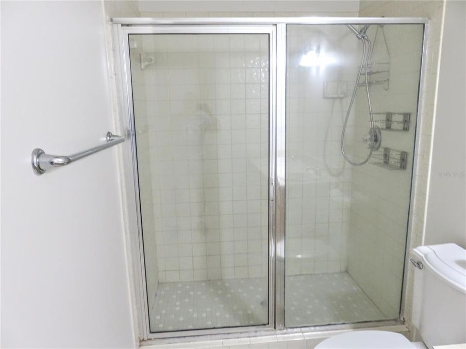 Primary Bathroom, Large Shower