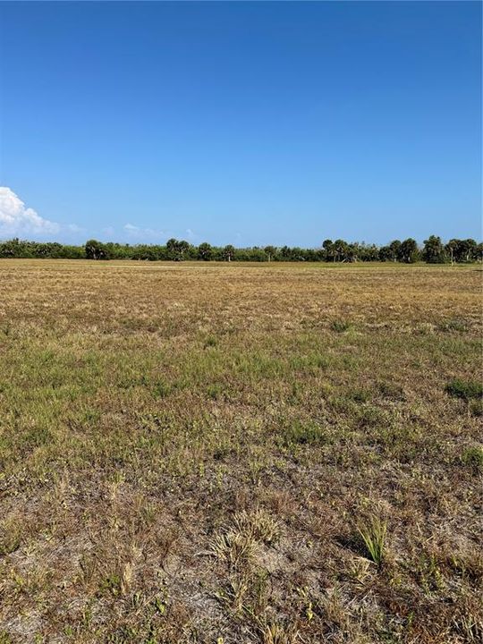 For Sale: $20,900 (0.18 acres)