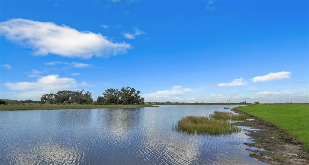 Lake and preserve view at Monterey at Lakewood Ranch