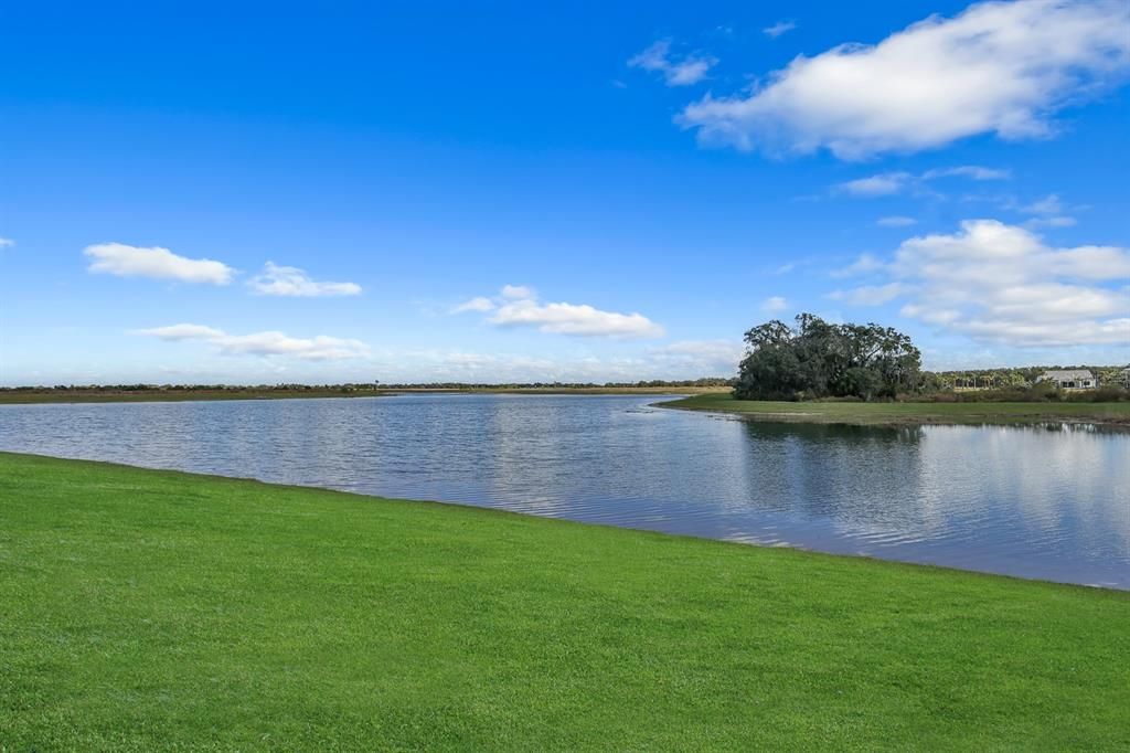 Lake and preserve view at Monterey at Lakewood Ranch