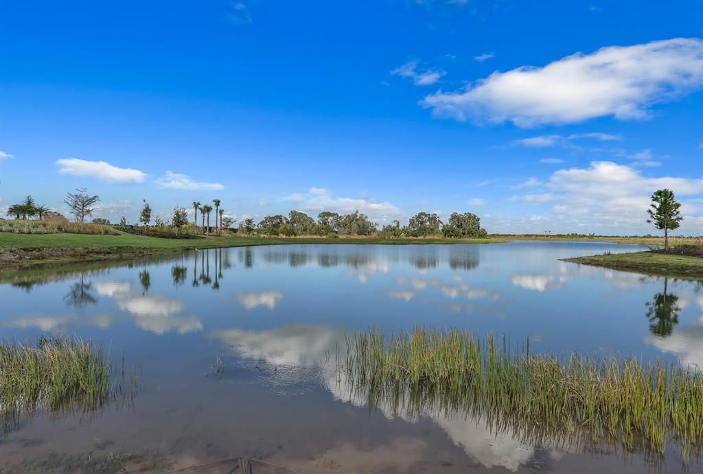 Lake and preserve view at Monterey at Lakewood Ranch