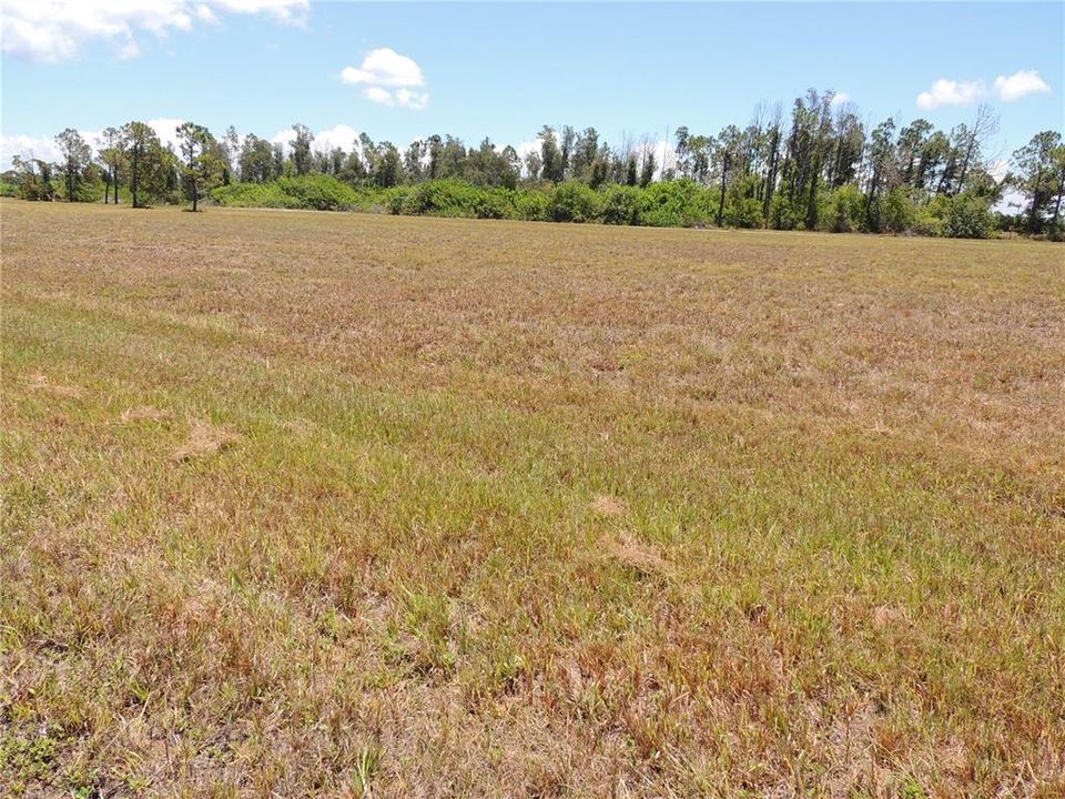 En Venta: $24,000 (0.17 acres)