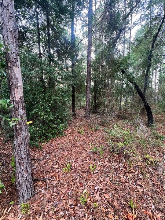 Active With Contract: $56,000 (0.70 acres)