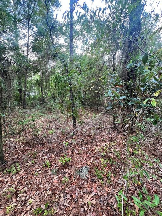 Active With Contract: $56,000 (0.70 acres)