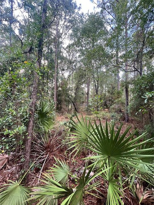 Active With Contract: $56,000 (0.70 acres)