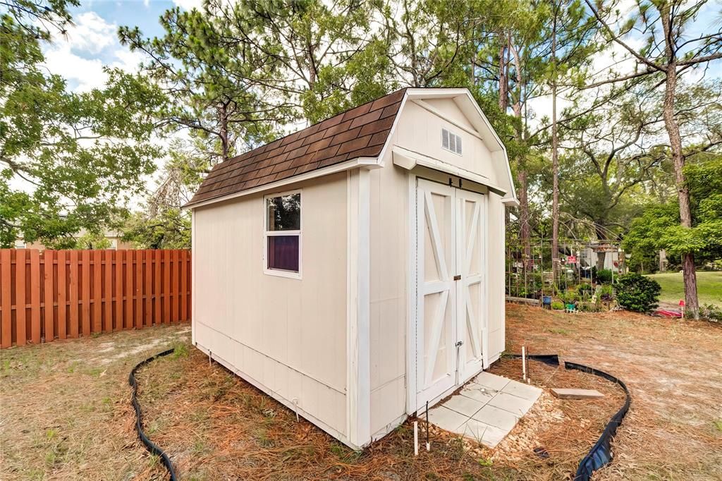 Shed for extra storage