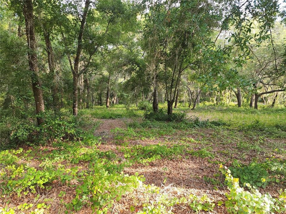 Recently Sold: $58,500 (1.06 acres)