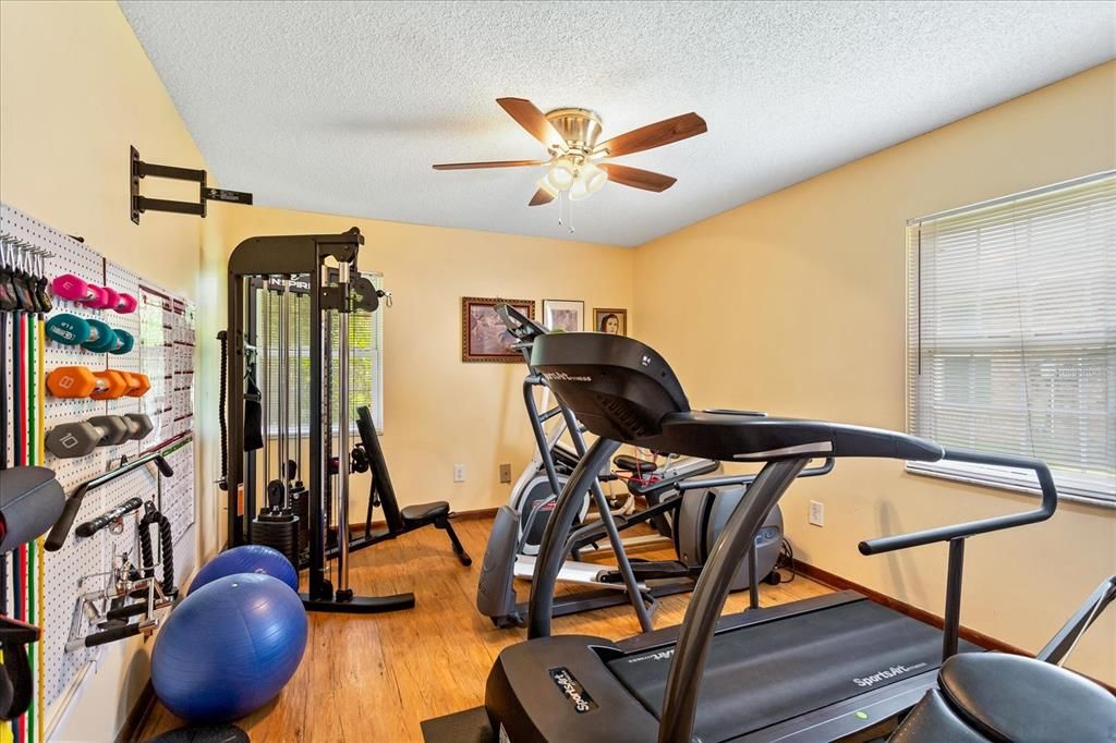 Guest Bedroom (Using as Exercise Room)