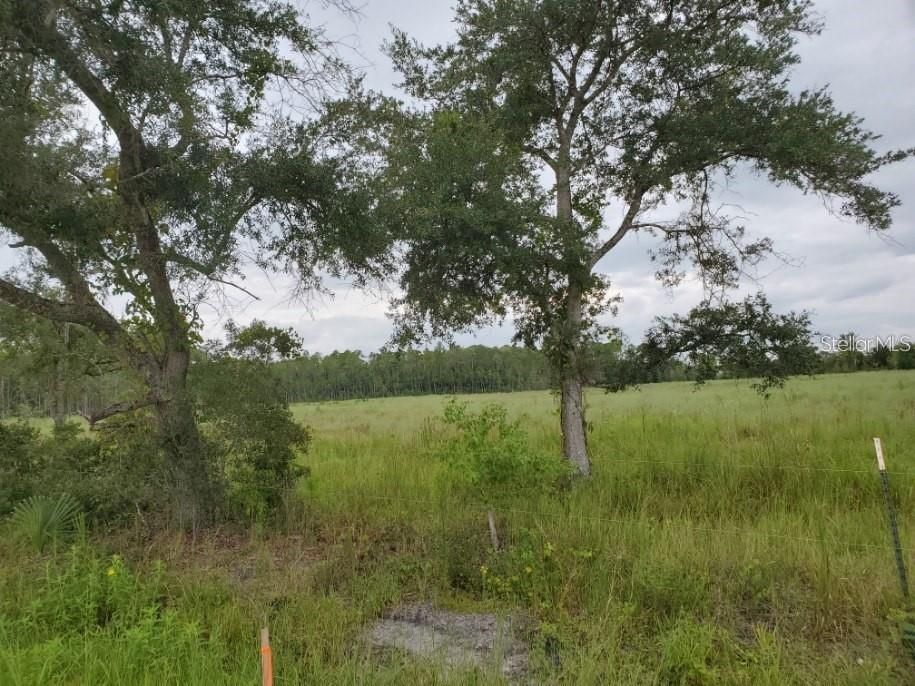 Active With Contract: $249,000 (5.01 acres)