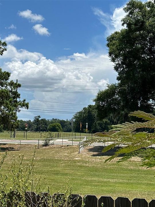 Back patio area overlooking UF livestock field