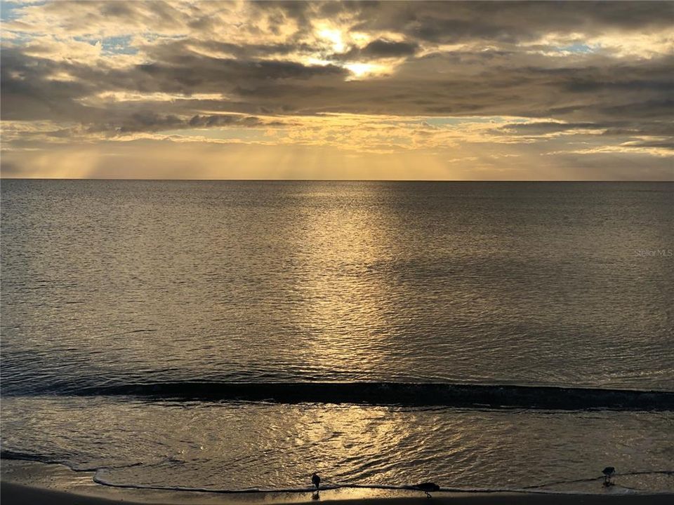 Manasota Beach in 15 minutes or less from home.