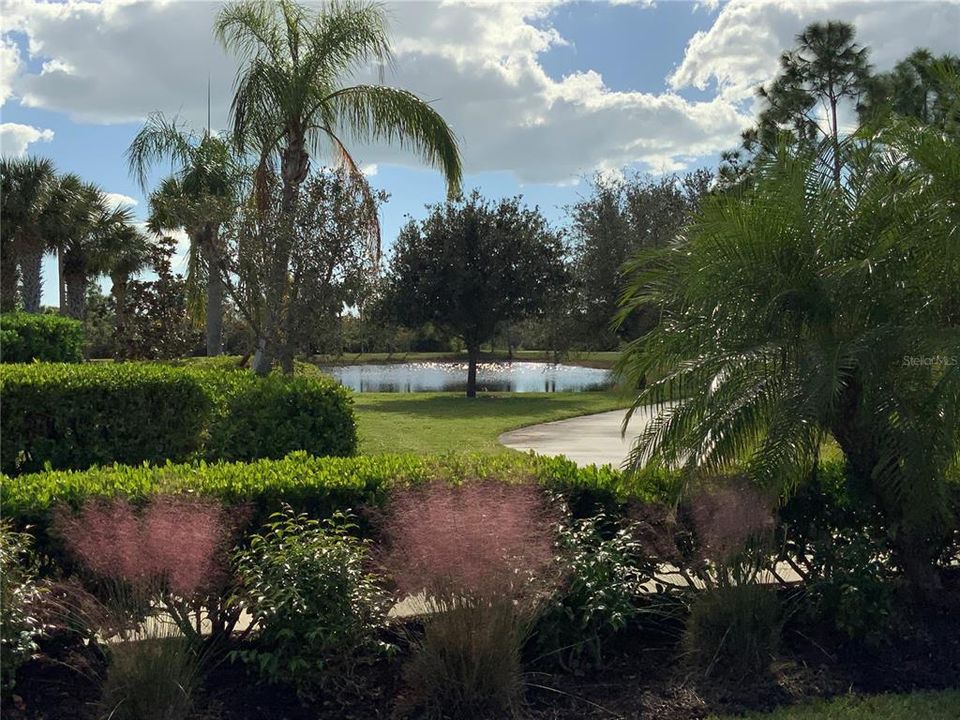 3rd bath with walk in dreamline shower and access to outside (pool bath.)