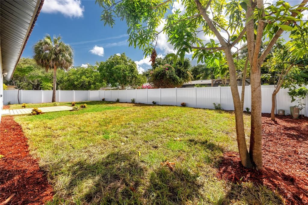 Fenced Backyard