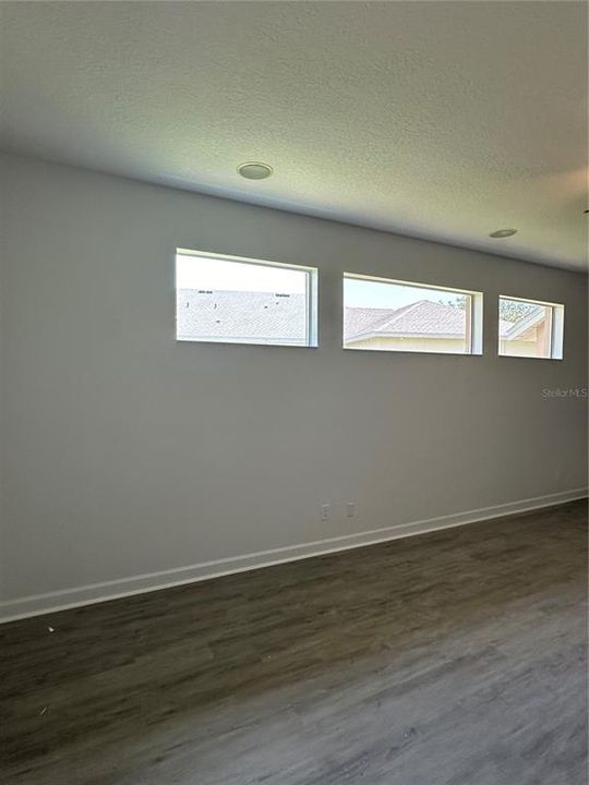 Ceiling Fan in Living Room