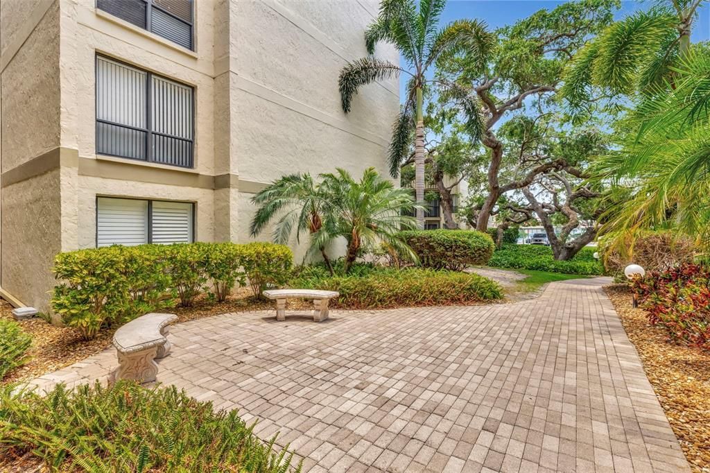 Lush Walkway to the front of the community