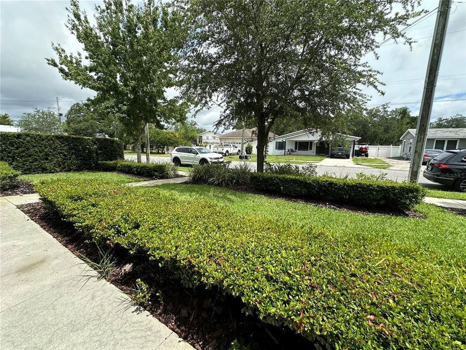 Bushes in Front of Home