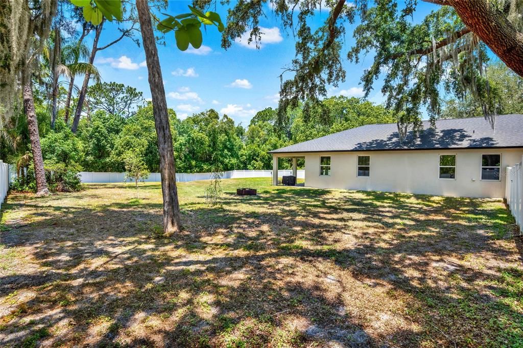 Large Side Backyard