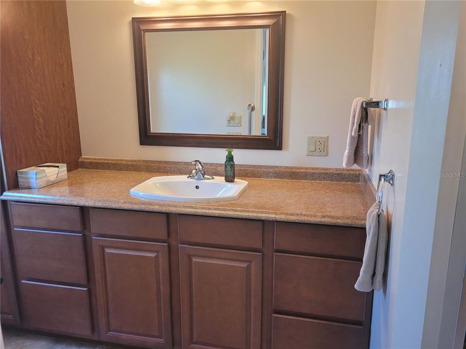 Main bath vanity