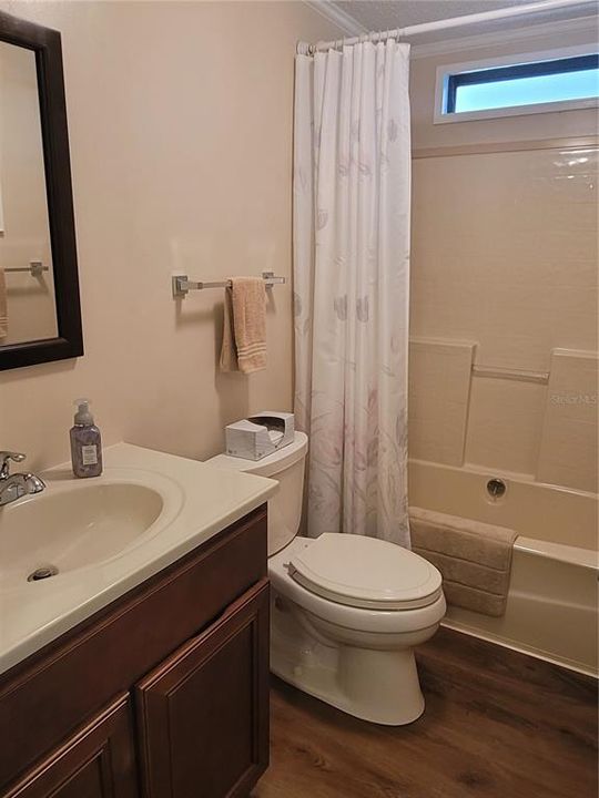 Guest bathroom