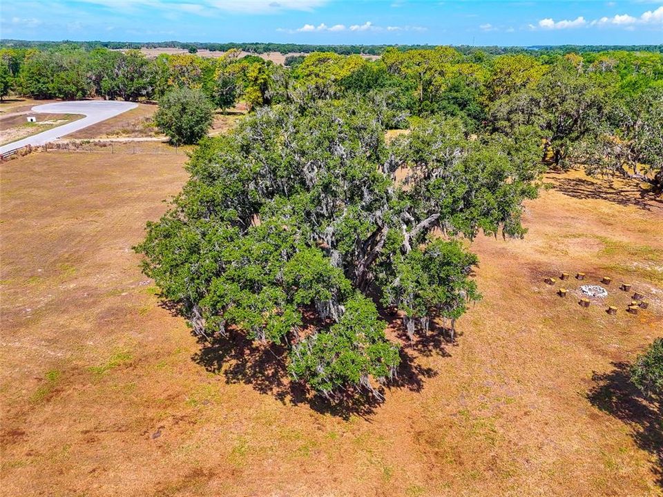 For Sale: $599,000 (5.46 acres)