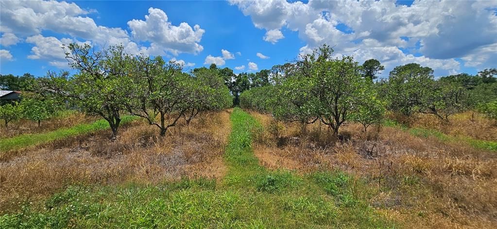 Active With Contract: $960,000 (120.00 acres)