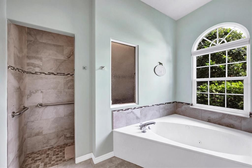 primary bath with soaking tub and separate shower