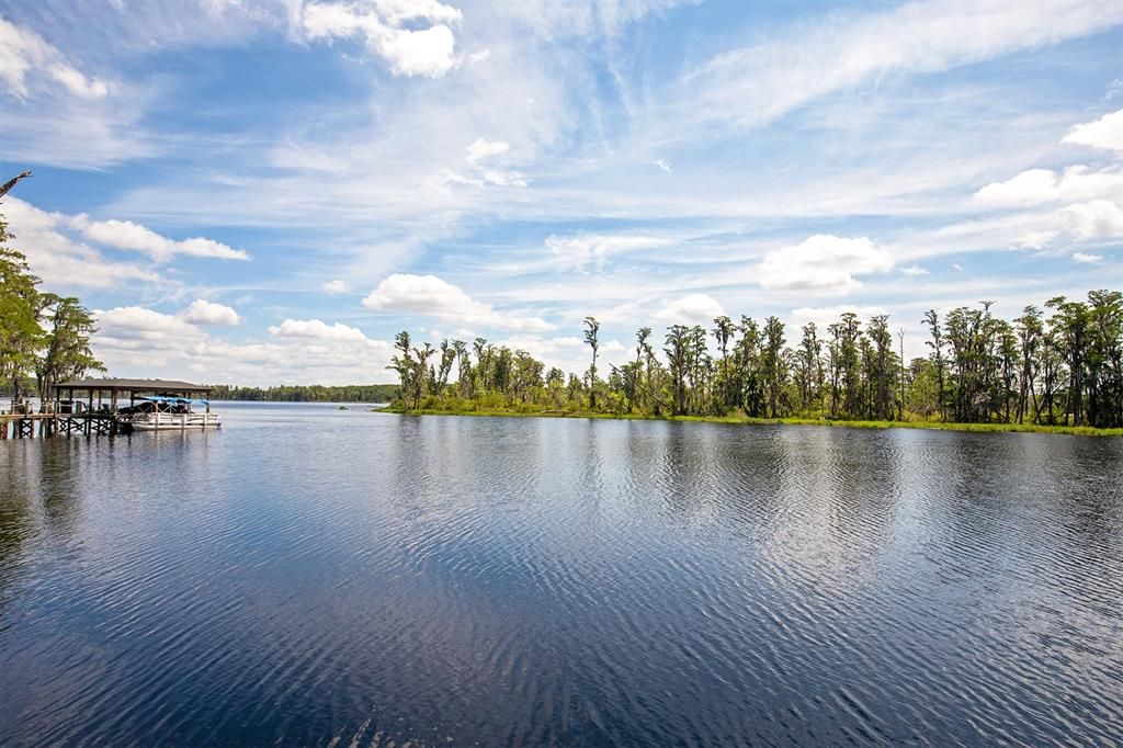 Serene Lakefront View