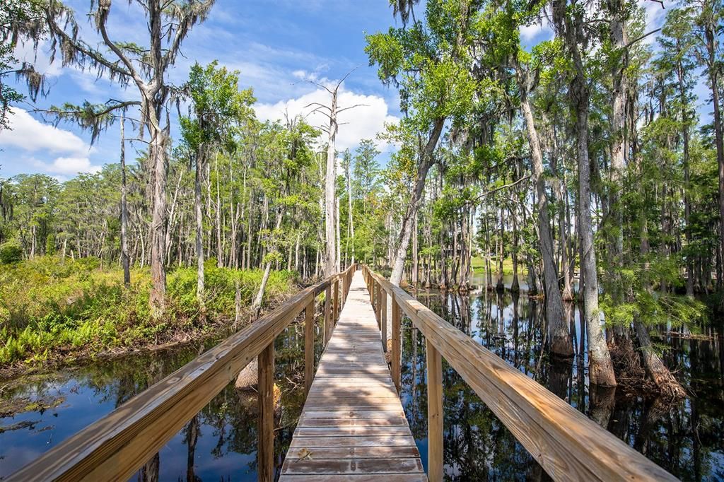 Boat Dock Walkway