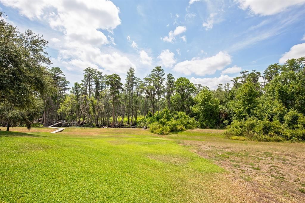 Serene Lakefront Preserve View