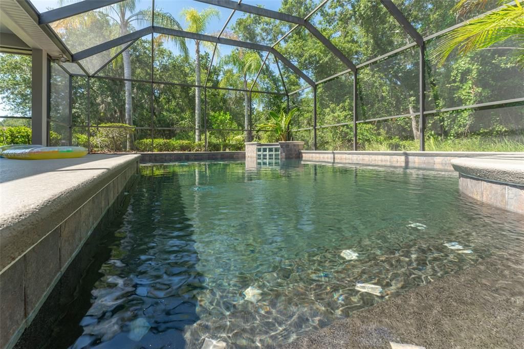 Sparkling Pool/Spa With Enchanting Dark Finish