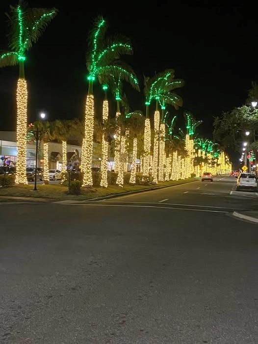 Holiday Lights downtown Venice